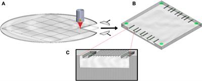 Ultrafast laser processing of glass waveguide substrates for multi-fiber connectivity in co-packaged optics
